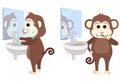 Monkey wash face and brush teeth at bathroom.