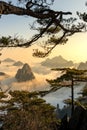 Monkey watch sea cloud ,Mt. Huangshan in Anhui, China