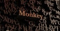 Monkey - Wooden 3D rendered letters/message