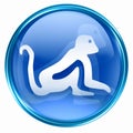 Monkey Zodiac icon blue