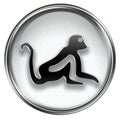 Monkey Zodiac icon grey