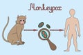 Monkeypox. Diagram of human infection with the smallpox virus. Monkey - virus - man. Color vector illustration.