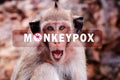 Monkeypox outbreak concept. Monkeypox is caused by monkeypox virus. Monkeypox is a viral zoonotic disease. Virus transmitted to