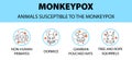 Monkeypox virus animals susceptible icons infographic. New outbreak cases in Europe and USA