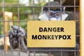 Monkeypox virus, dangerous disease spreads in world. Concept of smallpox, biological weapons, warning and monkeypox. danger of