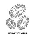 Monkeypox virus internal structure of the cell in close up