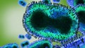 Monkeypox virus, one of the human orthopoxviruses, pathogen closeup Royalty Free Stock Photo
