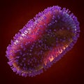 Monkeypox virus, pathogen closeup Royalty Free Stock Photo