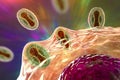 Monkeypox viruses infecting a human cell, 3D illustration