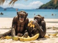 Ai Generated illustration Wildlife Concept of Monkeys on beach