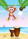 Monkeys and bongos on the beach