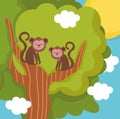 monkeys on branch