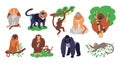 Monkeys breeds. Cartoon animals. Humanoid jungle inhabitants. Different tropical primates. Gorilla and gibbon on tree