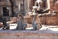 Monkeys on Buddha statues background at Phra Prang Sam Yot in Lopburi during the daytime. Royalty Free Stock Photo