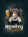 Monkeys dressed in apron holding glass beer. Vintage color engraving