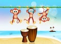 Monkeys and drums on the beach