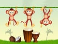 Monkeys and drums