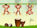 Monkeys and drums in the jungle
