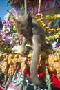 The monkeys enjoy eating local foods which bring people to thank in Monkey party festival in Thailand.