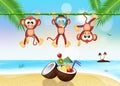 Monkeys with fresh cocktail in summer