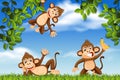 Monkeys in jungle scene