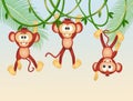 Monkeys on lianas in the jungle