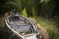 Monkeys palying in a boat.