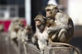 Monkeys at Phra Prang Sam Yot, Lop Buri Province, Thailand Royalty Free Stock Photo
