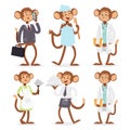 Monkeys rare animal vector cartoon macaque like people nature primate character wild zoo ape chimpanzee illustration. Royalty Free Stock Photo