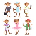 Monkeys rare animal vector cartoon macaque like people nature primate character wild zoo ape chimpanzee illustration. Royalty Free Stock Photo