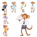 Monkeys rare animal vector cartoon macaque like people nature primate character wild zoo ape chimpanzee illustration. Royalty Free Stock Photo