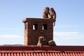 Monkeys on the roof Royalty Free Stock Photo