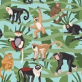 Monkeys seamless pattern. Tropical forest with lianas and different breeds funny primates, various poses in leaves