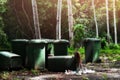 Monkeys are searching for food in the park`s waste disposal area, natural attractions.