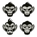 Monkeys