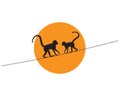 Monkeys silhouettes on wire on sunrise/sunset, vector. Monkeys illustration isolated on white background Royalty Free Stock Photo