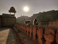 Monkeys in Sunset, Jaipur Royalty Free Stock Photo