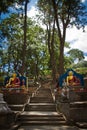 Monkeys of Swayambunath Stupa kathmandu, Nepal