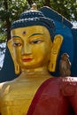 Monkeys of Swayambunath Stupa kathmandu, Nepal