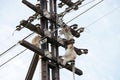 Monkeys on a Telephone Pole