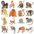 Monkeys types icons set, cartoon style