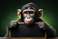 Monkeys wit shines as it holds chalkboard with clever messages Royalty Free Stock Photo