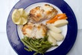 Monkfish with potatoes Royalty Free Stock Photo