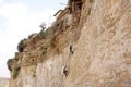 Monks climbing a rock wall at Debre Damo Monastery, Ethiopia Royalty Free Stock Photo