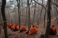 monks meditating in the forest, surrounded by nature