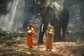 Monks or novices and elephants walking alms round. Buddhist monk walking in forest sunset light with elephants