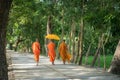 Monks in saffron robe and umbrella walking on rural road among trees in Mekong Delta, Vietnam