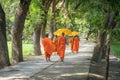 Monks in saffron robe and umbrella walking on rural road among trees in Mekong Delta, Vietnam