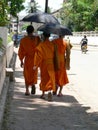 Monks walking in street with umbrellas, from back, Luang Prabang, Laos