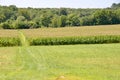 Monmouth Battlefield